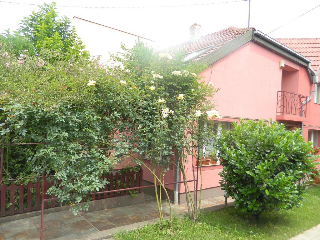 Hotel Cazare Vio Kluž Exteriér fotografie