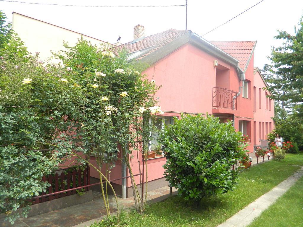 Hotel Cazare Vio Kluž Exteriér fotografie